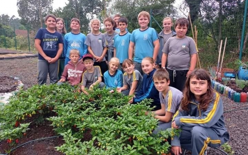 Projeto horta educativa mãozinhas na terra/2024