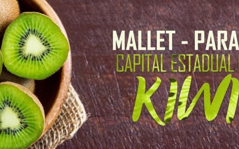 6ª feira do kiwi amarelo