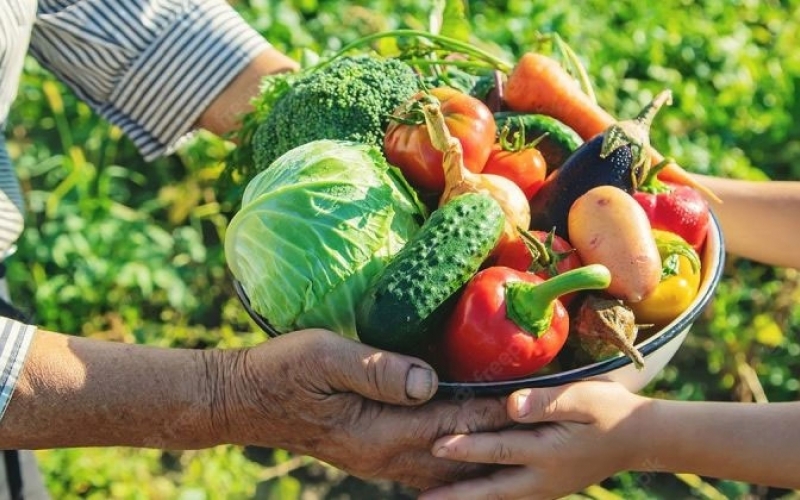 Chamamento Público 01/2024 - Agricultores familiares que desejarem fornecer gêneros alimentícios